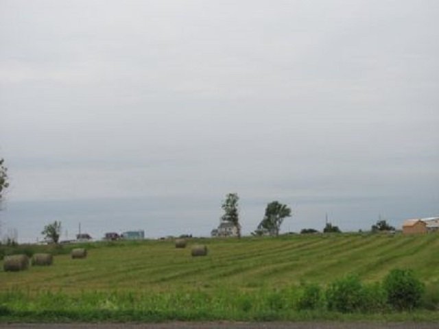 Terre/Terrain