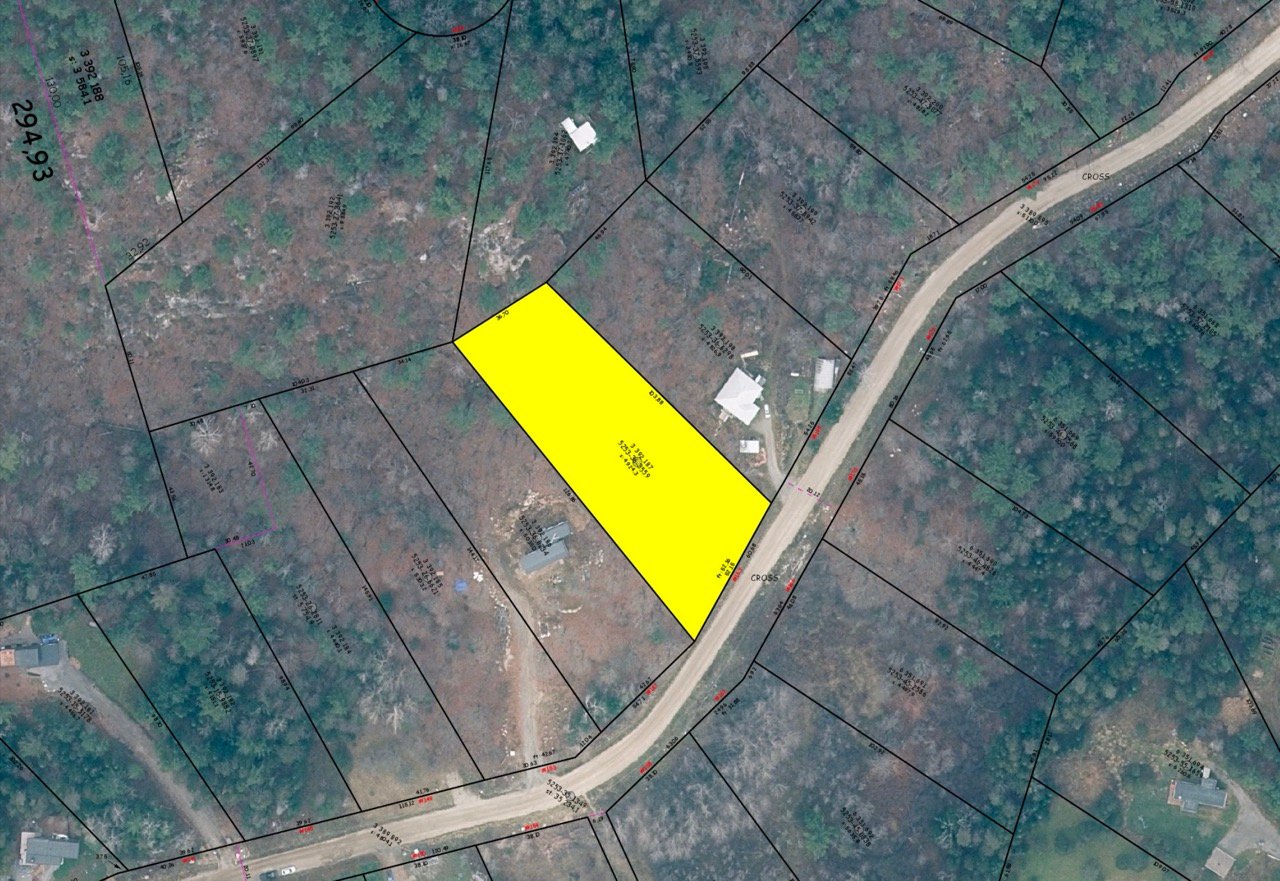 IMAGE1