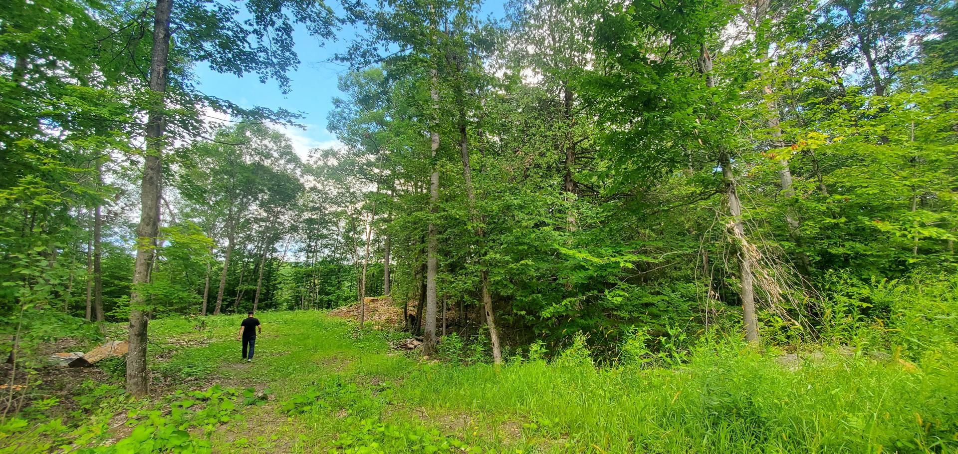 top-image